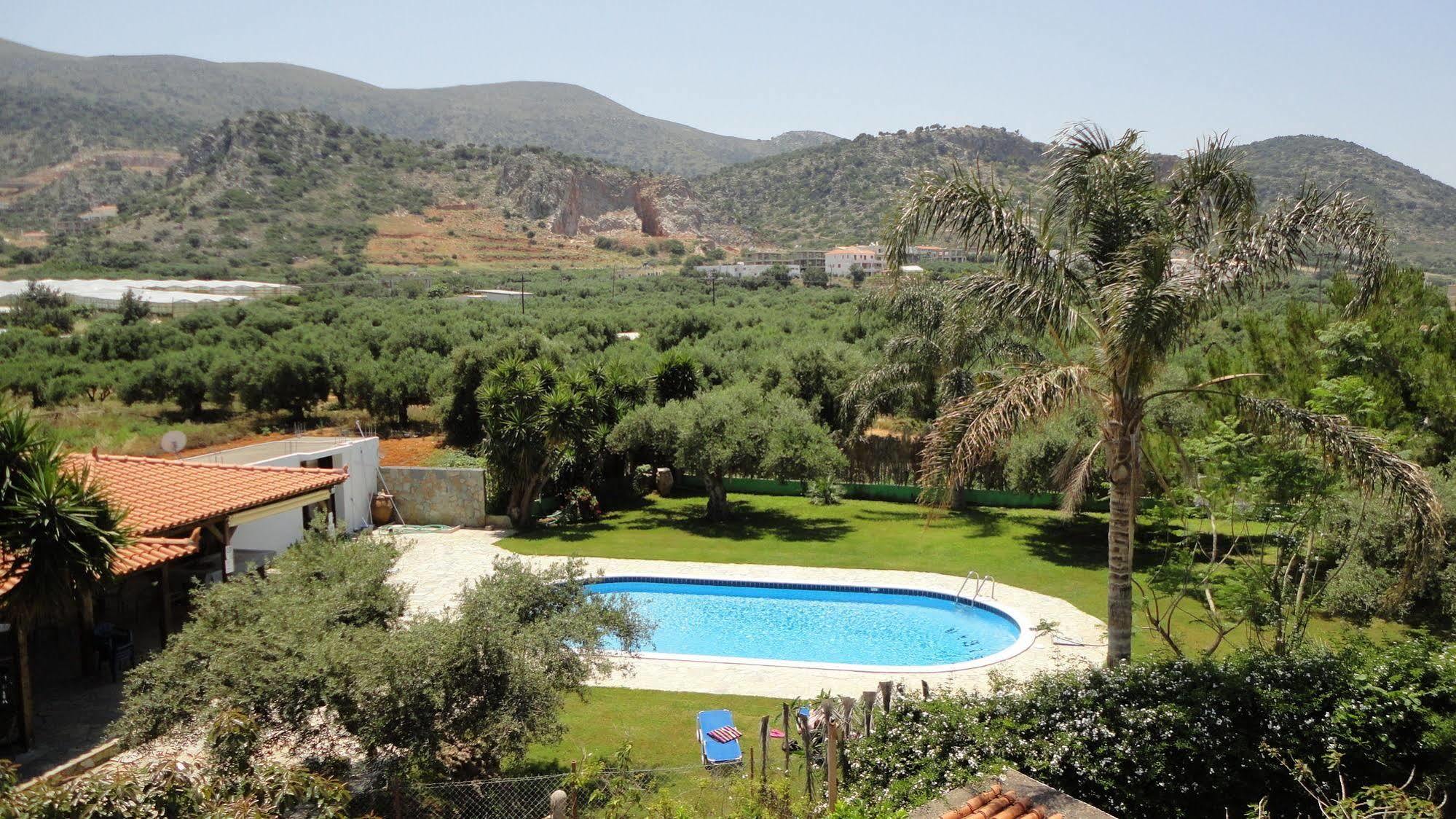 Ibiscus Hotel Malia Kültér fotó